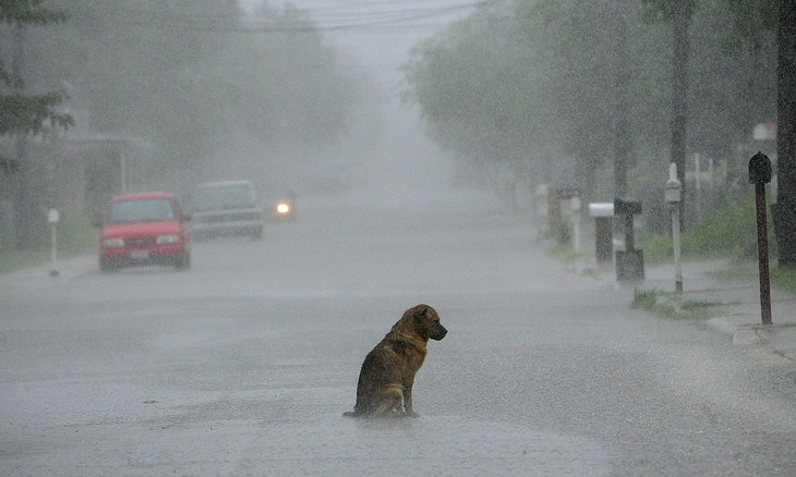 seul sous la pluie